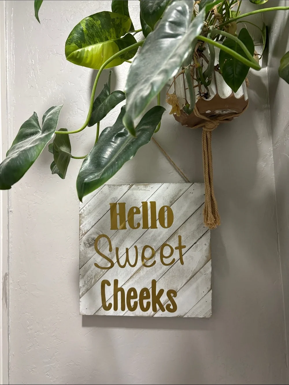Hello Sweet Cheeks Gold and White Wall Sign